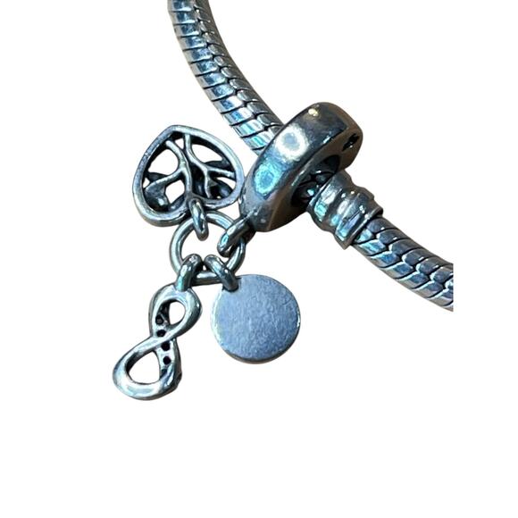 Pandora 925 Sterling Silver Bracelet with Rose Charm & Family Heart Dangle - Picture 6 of 12